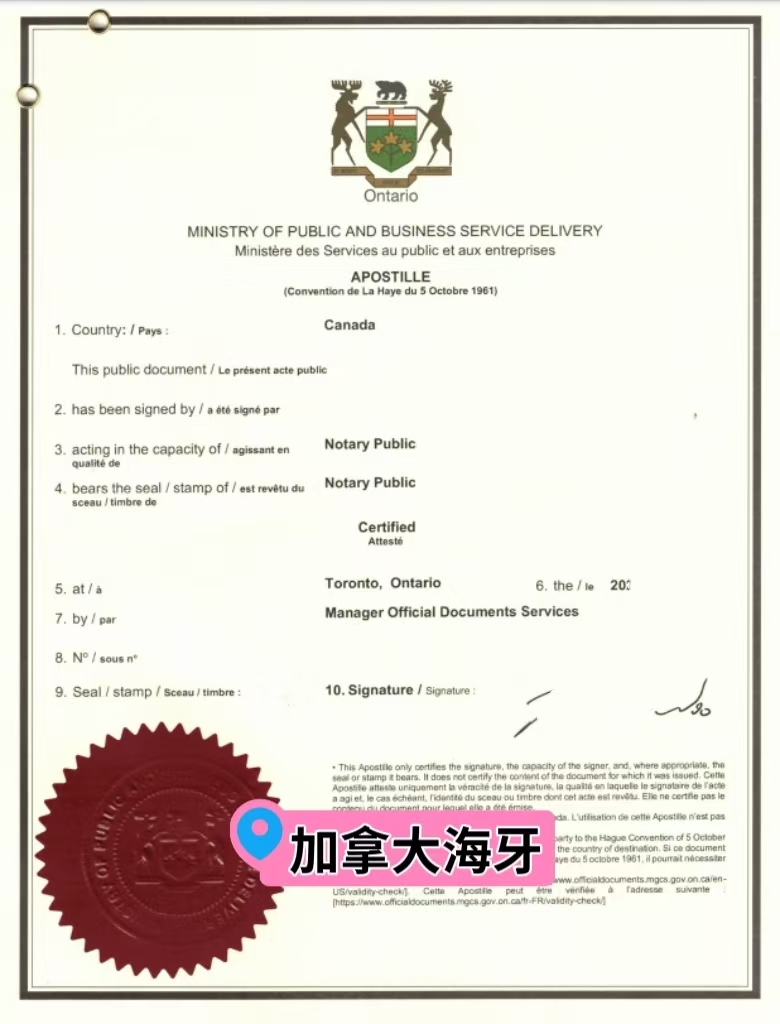 加拿大海牙